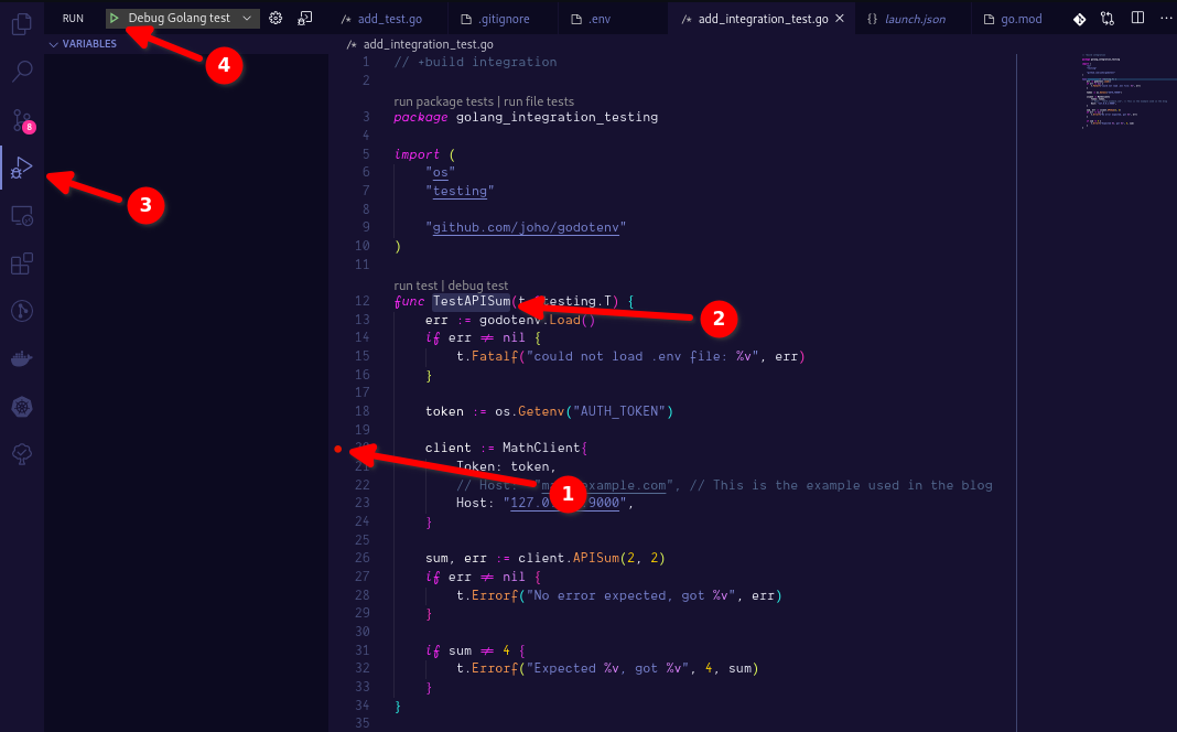 Debugging Golang integration tests in VSCode